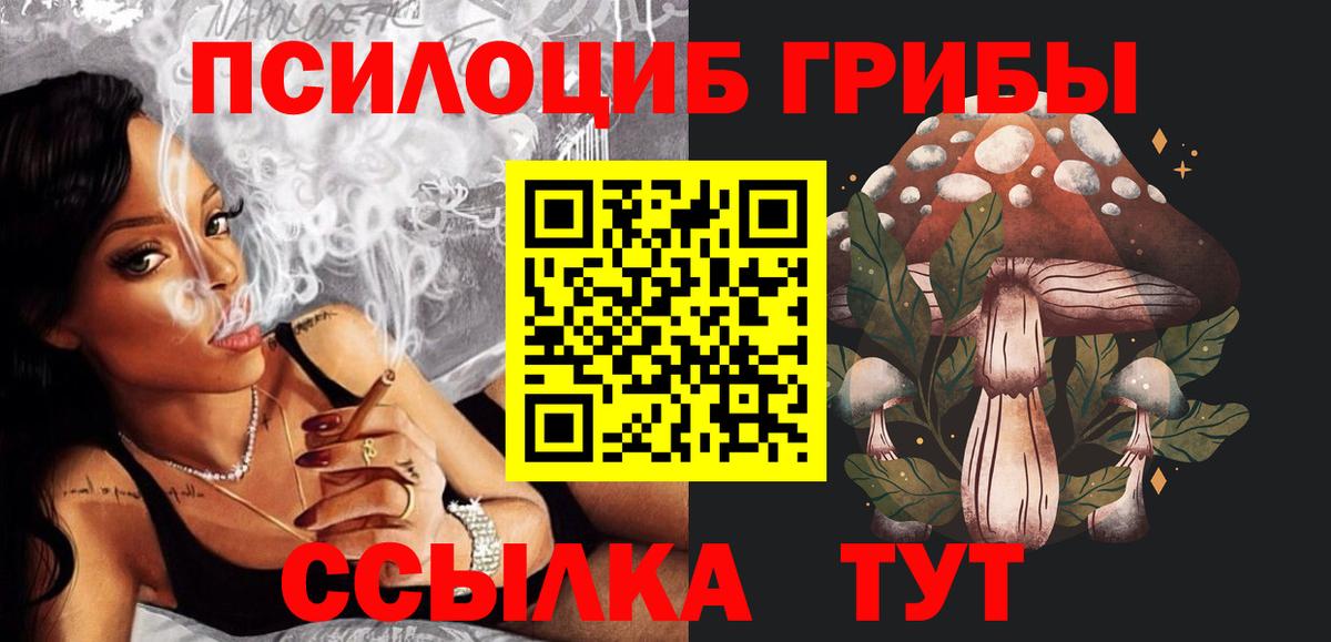 Псилоцибиновые грибы GOLDEN TEACHER Домодедово