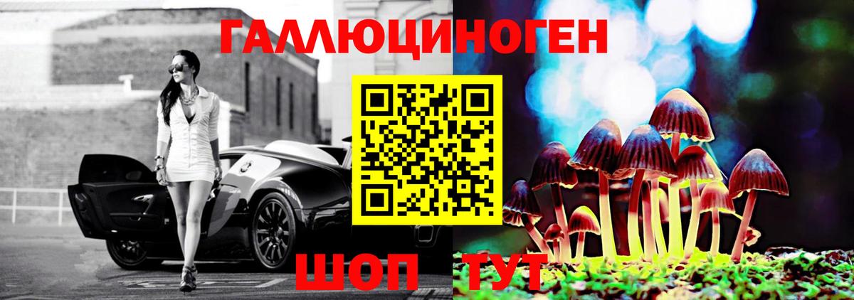 Домодедово  Галлюциногенные грибы прущие грибы  Вход с VPN 